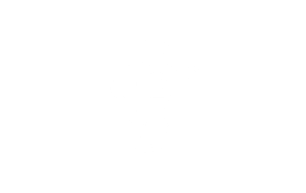 Psyco Skateboards logo